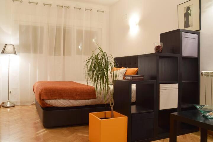 Estudio Acogedor Y Luminoso Appartamento Madrid Esterno foto